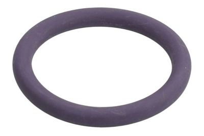 GARNITURA CONDUCTA LICHID DE RACIRE