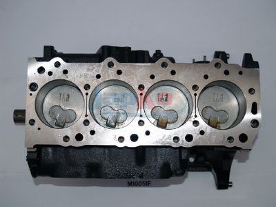 MOTOR EXCLUZAND ACCESORIILE JAPKO JMI005IF 4