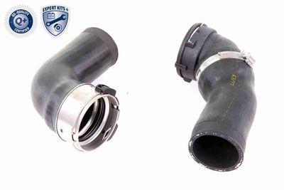 FURTUN EAR SUPRAALIMENTARE VAICO V201617 1