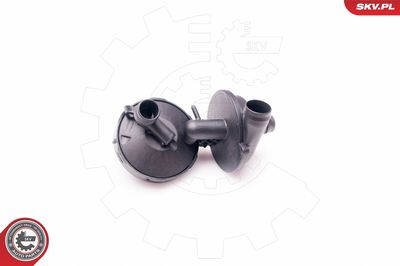 Valve, crankcase ventilation 31SKV025