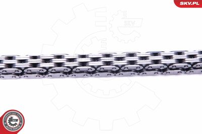 Timing Chain Kit 21SKV236