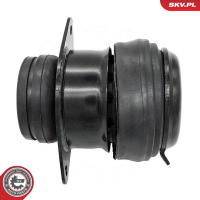 Zavěšení motoru ESEN SKV 75SKV241