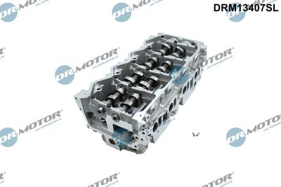 Hlava válce Dr.Motor Automotive DRM13407SL