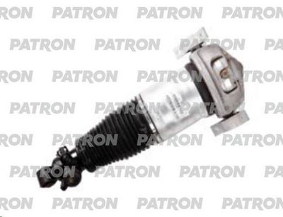 PATRON PAS2018 PATRON PAS2018