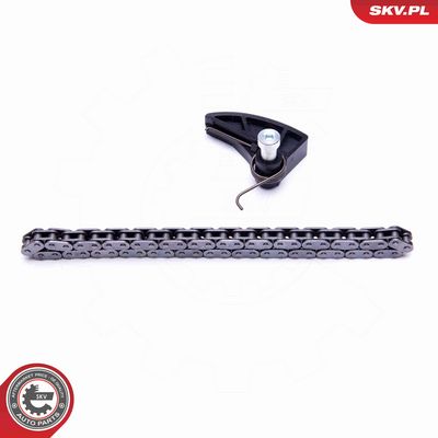 SET LANT ANTRENARE POMPA ULEI ESEN SKV 21SKV108 1