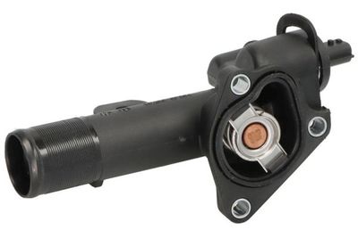 TERMOSTAT LICHID RACIRE