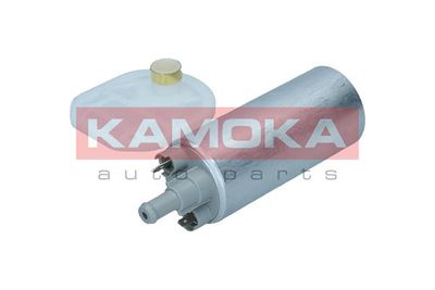 Fuel Pump 8410031