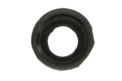 Seal Ring, valve stem ENT010935