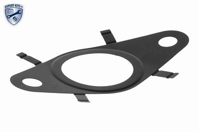 GARNITURA VENTIL AGR