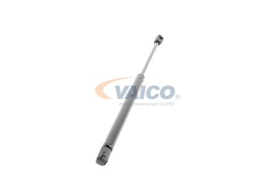 GASFEDER KOFFER-/LADERAUM VAICO V240499 51