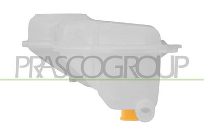 VAS DE EXPANSIUNE RACIRE