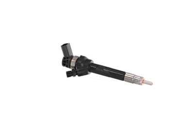INJECTOR REMANTE 002003001754R 43