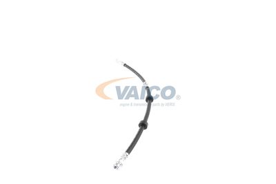 FURTUN FRANA VAICO V104226 14