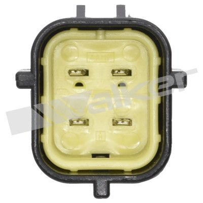 LAMBDASONDE WALKER PRODUCTS 25024818 2