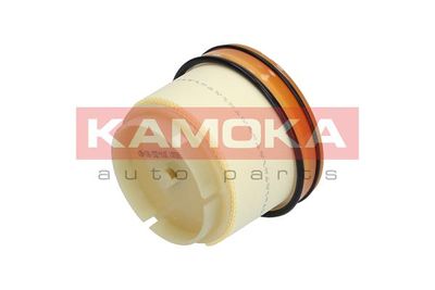 Fuel Filter F305301