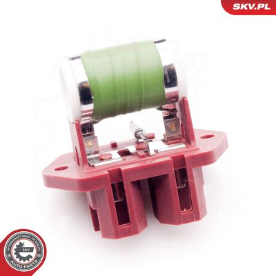 Varža, vidaus pūtiklis