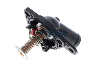 TERMOSTAT LICHID RACIRE ACKOJA A26990012 55