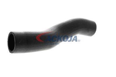 FURTUN EAR SUPRAALIMENTARE ACKOJA A529600 54