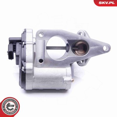 SUPAPA EGR ESEN SKV 14SKV165 4