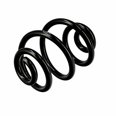 ARC SPIRAL EIBACH R10030 4