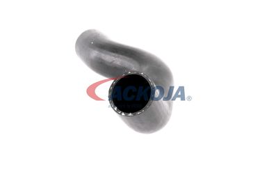 FURTUN EAR SUPRAALIMENTARE ACKOJA A380307 21