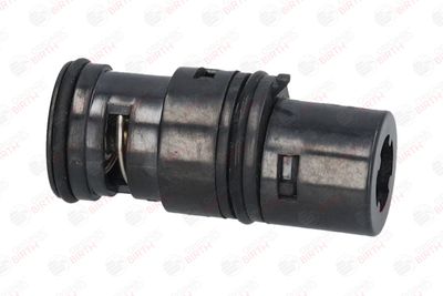 FLANSA LICHID RACIRE BIRTH 80236 8