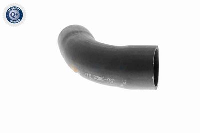 FURTUN EAR SUPRAALIMENTARE VAICO V201622 6