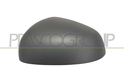 ACOPERIRE OGLINDA EXTERIOARA