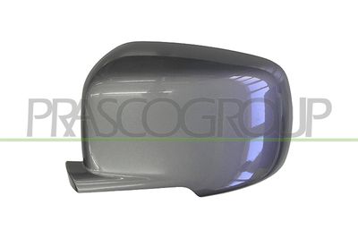 ACOPERIRE OGLINDA EXTERIOARA