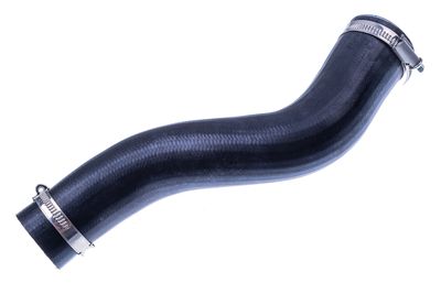 FURTUN EAR SUPRAALIMENTARE DENCKERMANN F100073