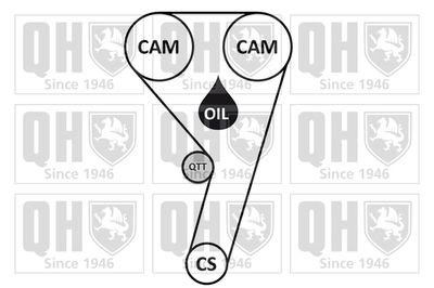 SET CUREA DE DISTRIBUTIE QUINTON HAZELL QBK930 1