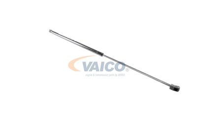 AMORTIZOR CAPOTA VAICO V101949 19