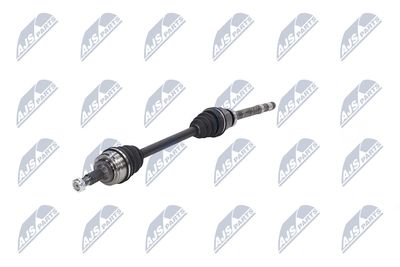 PLANETARA NTY NPWCT073 19