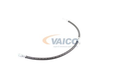 FURTUN FRANA VAICO V103077 28