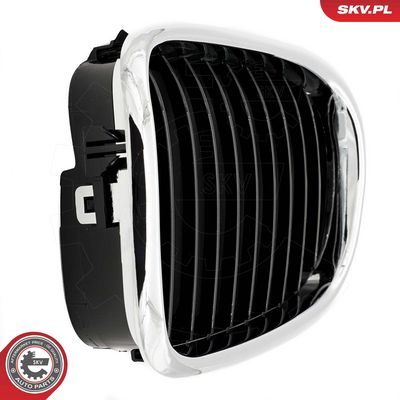 GRILA RADIATOR ESEN SKV 66SKV160 7