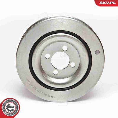 FULIE CUREA ARBORE COTIT ESEN SKV 95SKV312 2