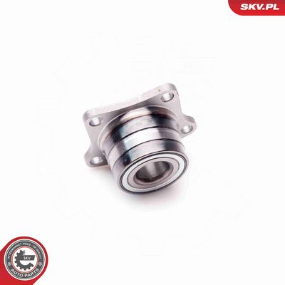 SET RULMENT ROATA ESEN SKV 29SKV080 3