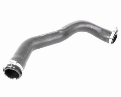 FURTUN EAR SUPRAALIMENTARE