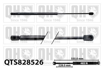 газов амортисьор, багажно/товарно пространство QUINTON HAZELL QTS828526