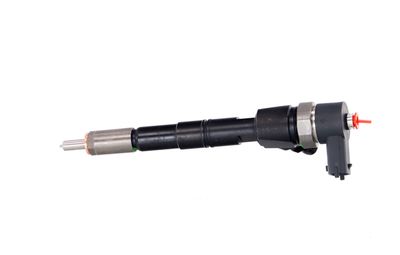 INJECTOR REMANTE 002003000028R 13