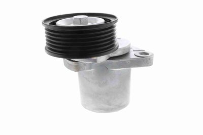 INTINZATOR CUREA CUREA DISTRIBUTIE VAICO V250445 6