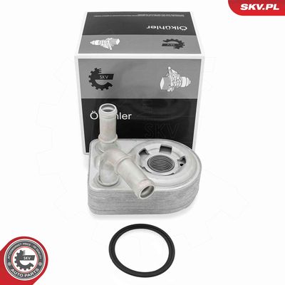 RADIATOR ULEI ULEI MOTOR