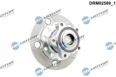 SET RULMENT ROATA Dr.Motor Automotive DRM02589 1
