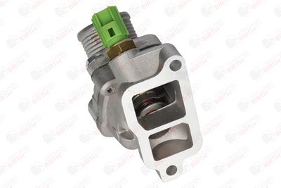 FLANSA LICHID RACIRE BIRTH 81771 9