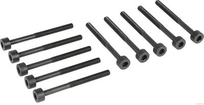 ZYLINDERKOPFSCHRAUBENSATZ