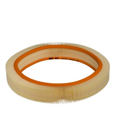 Oro filtras
