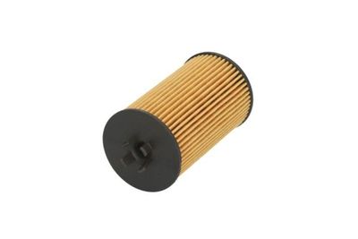 Oil Filter B1X036PR