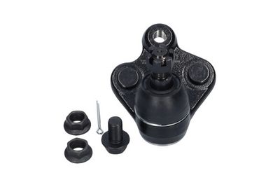 Kavo Parts Šarnyras / girgždukas