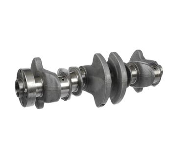 ARBORE COTIT ET ENGINETEAM HK0219 28