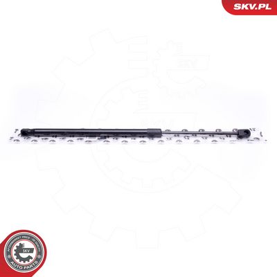 Dujinė spyruoklė, bagažinė